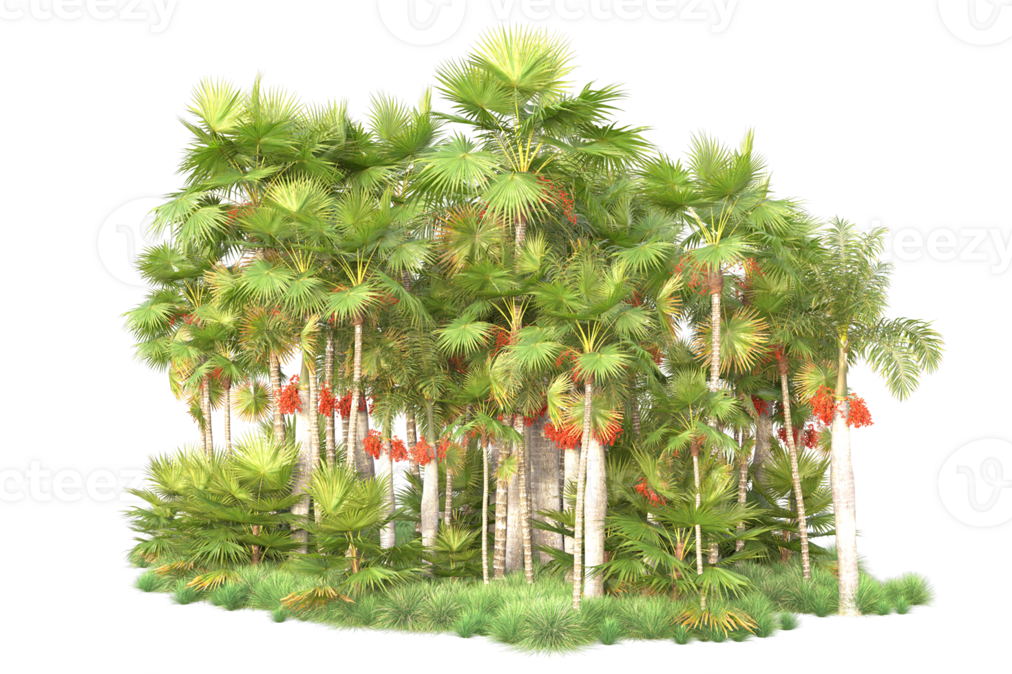 Tropical forest isolated on transparent background. 3d rendering - illustration png