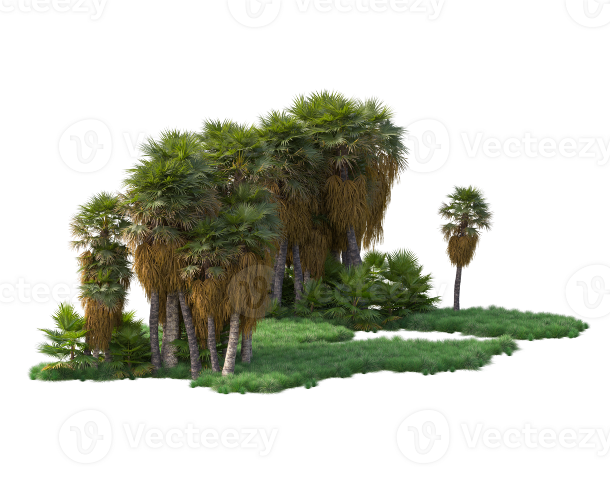 Tropical forest isolated on transparent background. 3d rendering - illustration png