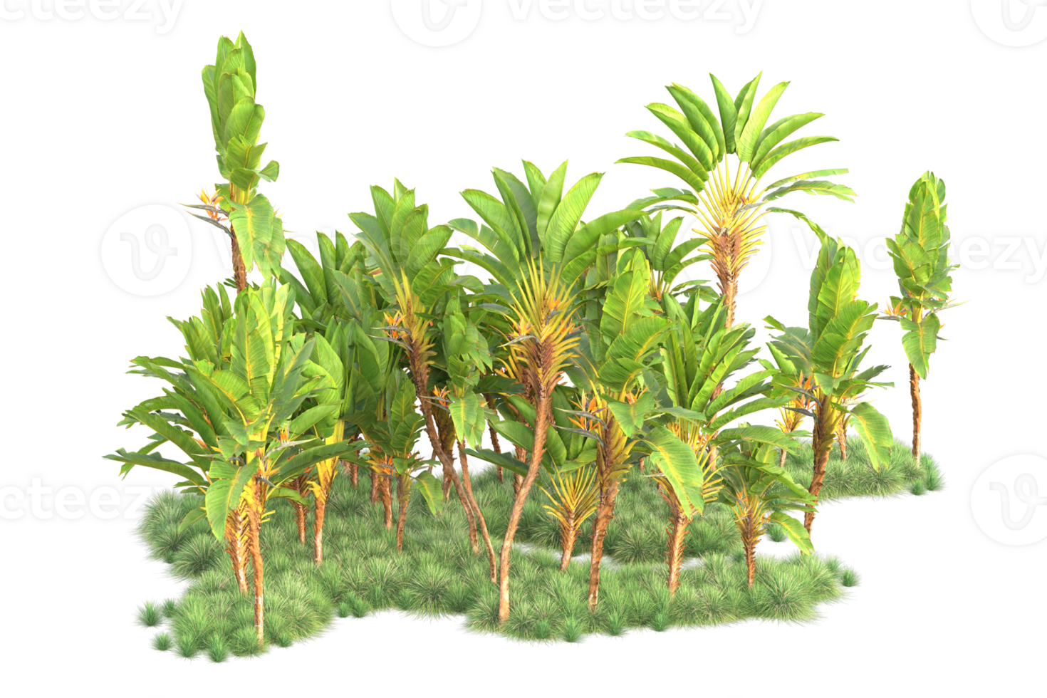 Tropical forest isolated on transparent background. 3d rendering - illustration png