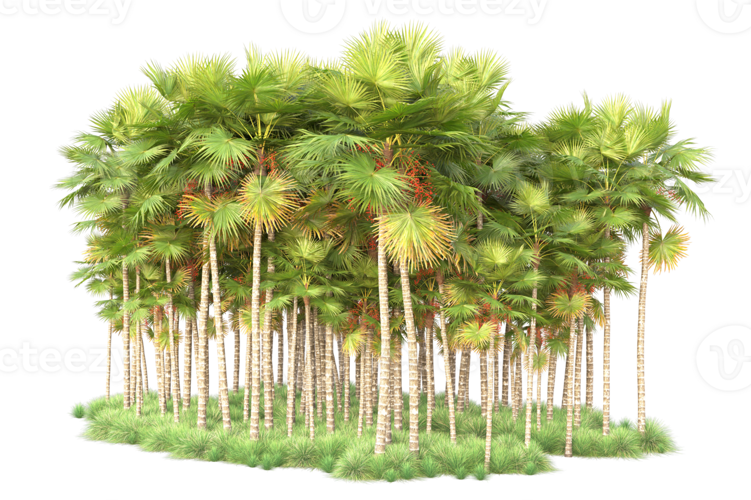 Tropical forest isolated on transparent background. 3d rendering - illustration png