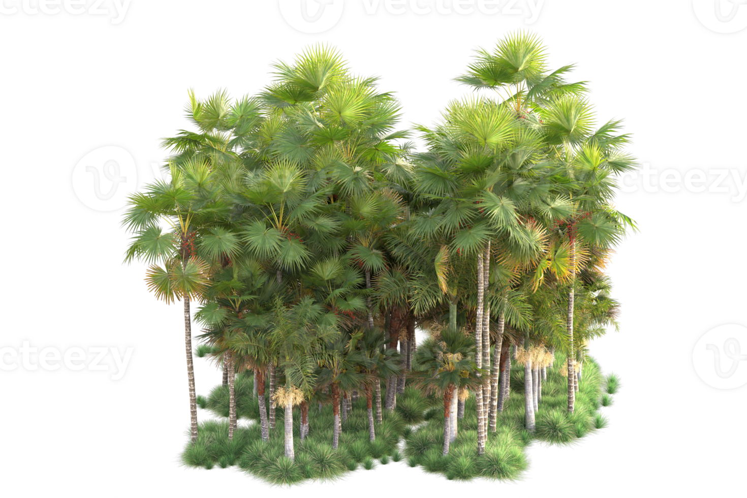 Tropical forest isolated on transparent background. 3d rendering - illustration png