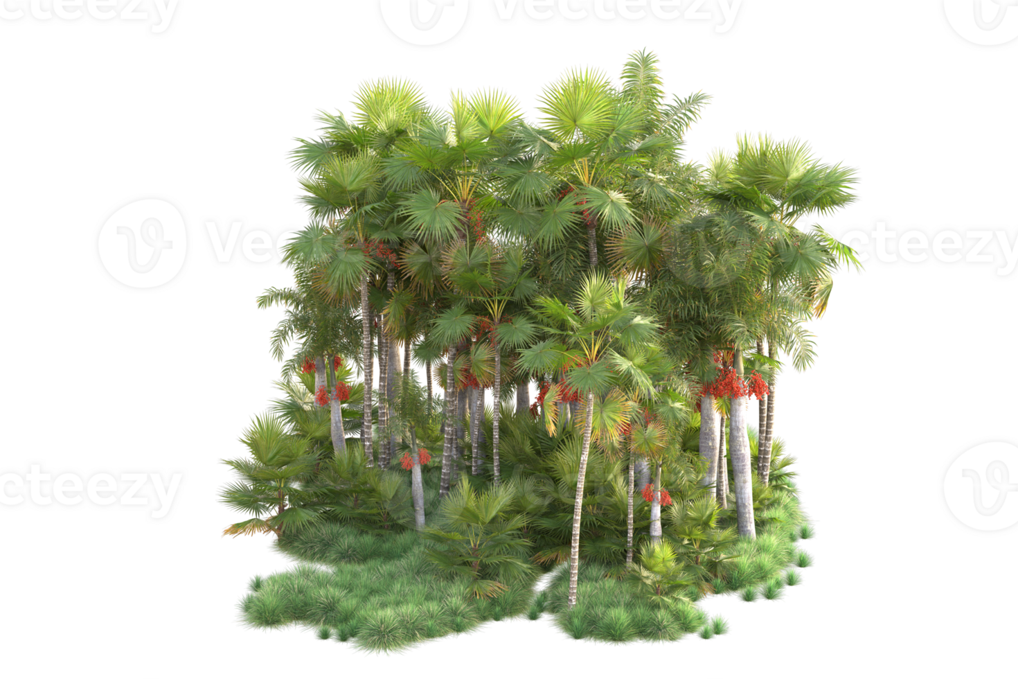 tropical forêt isolé sur transparent Contexte. 3d le rendu - illustration png