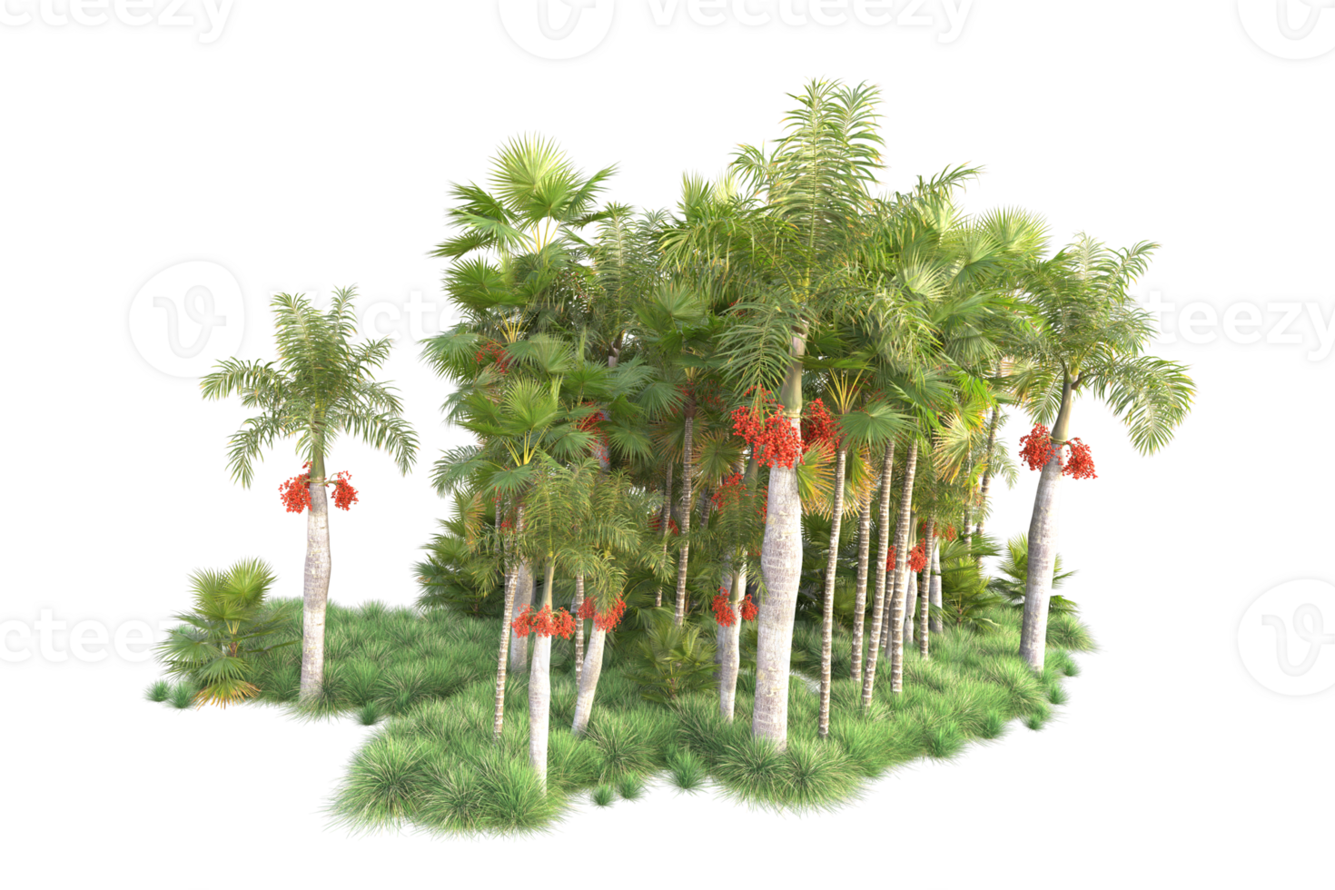 Tropical forest isolated on transparent background. 3d rendering - illustration png
