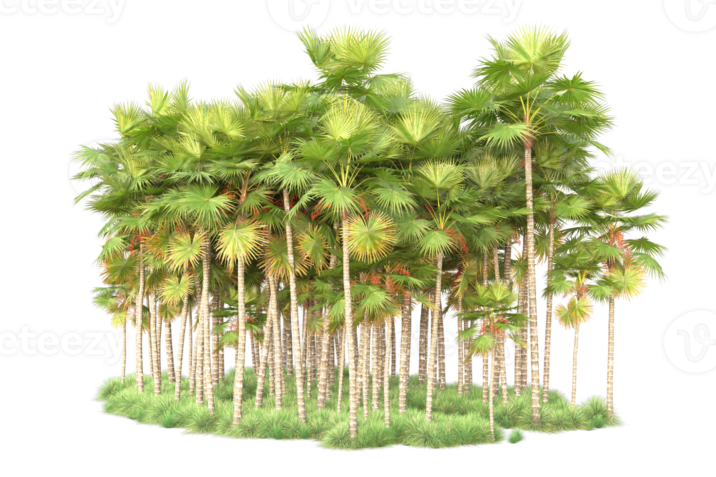 Tropical forest isolated on transparent background. 3d rendering - illustration png