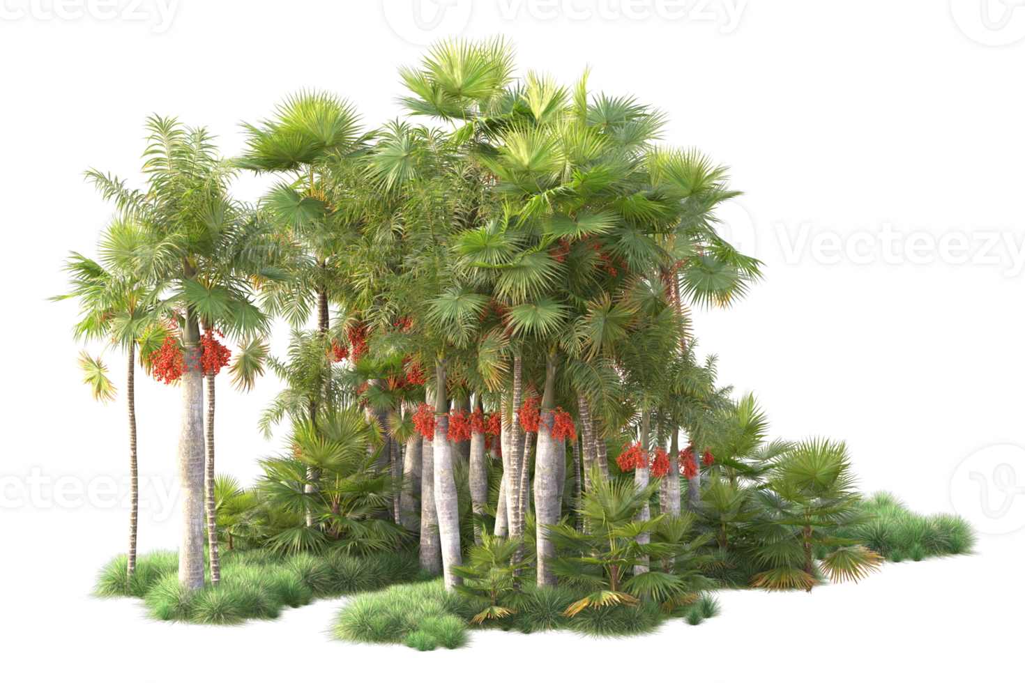 Tropical forest isolated on transparent background. 3d rendering - illustration png