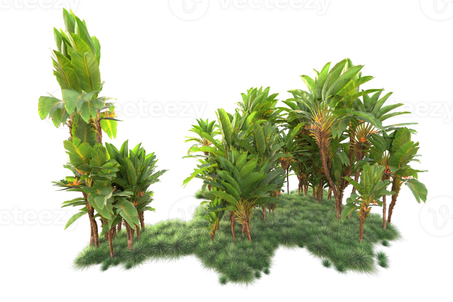 Tropical forest isolated on transparent background. 3d rendering - illustration png