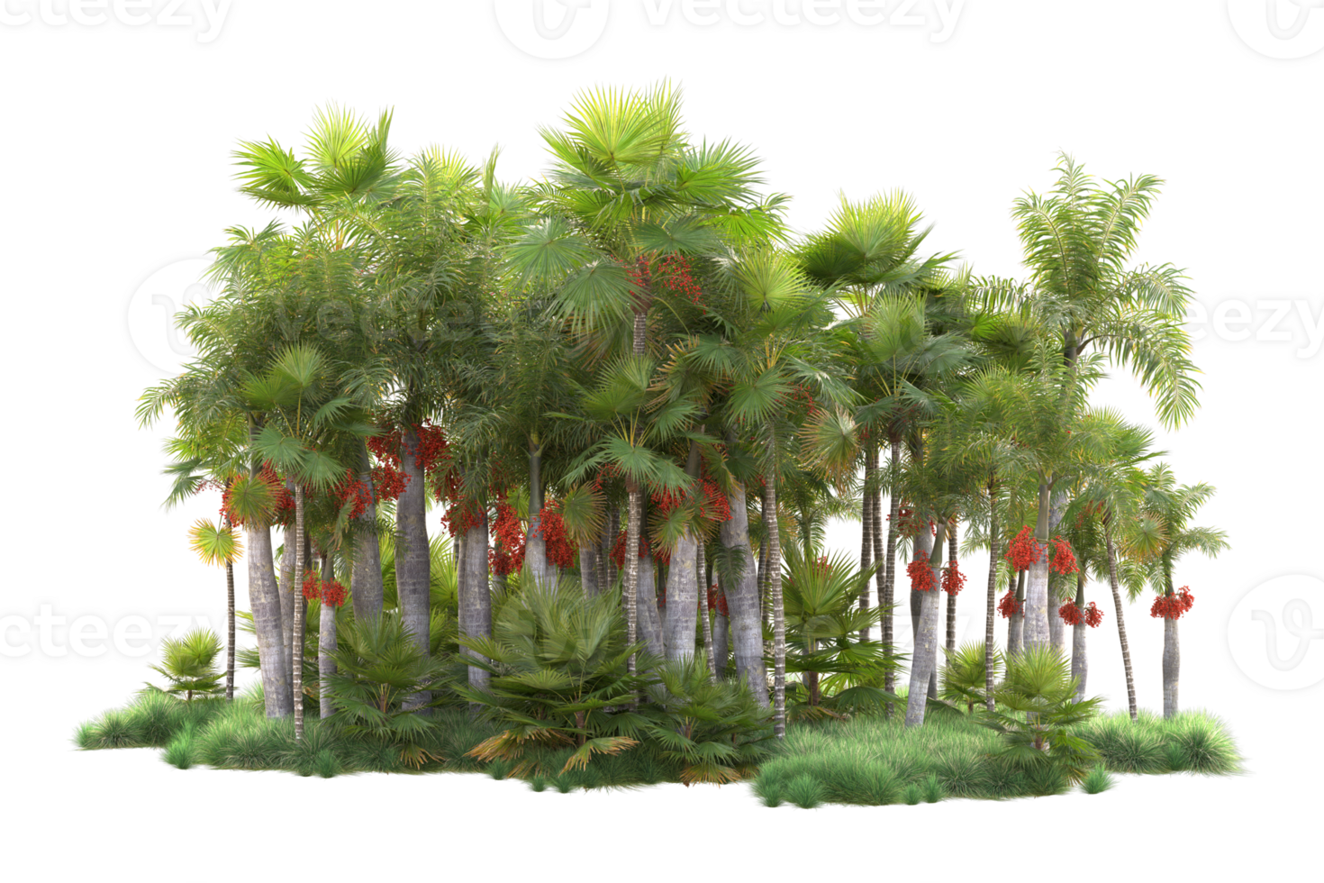 Tropical forest isolated on transparent background. 3d rendering - illustration png