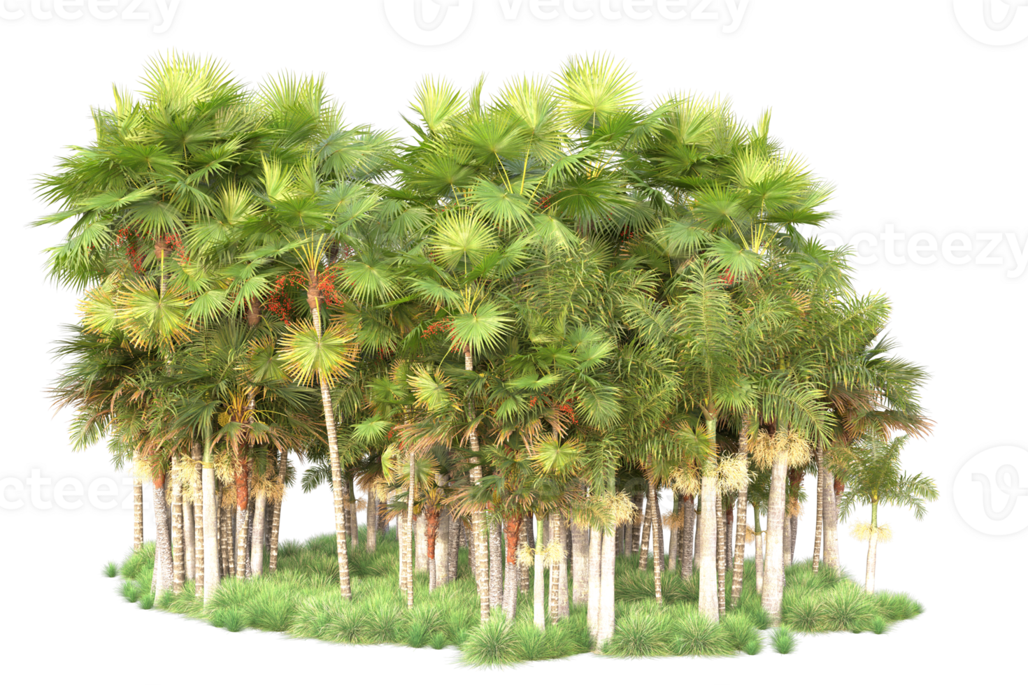 Tropical forest isolated on transparent background. 3d rendering - illustration png