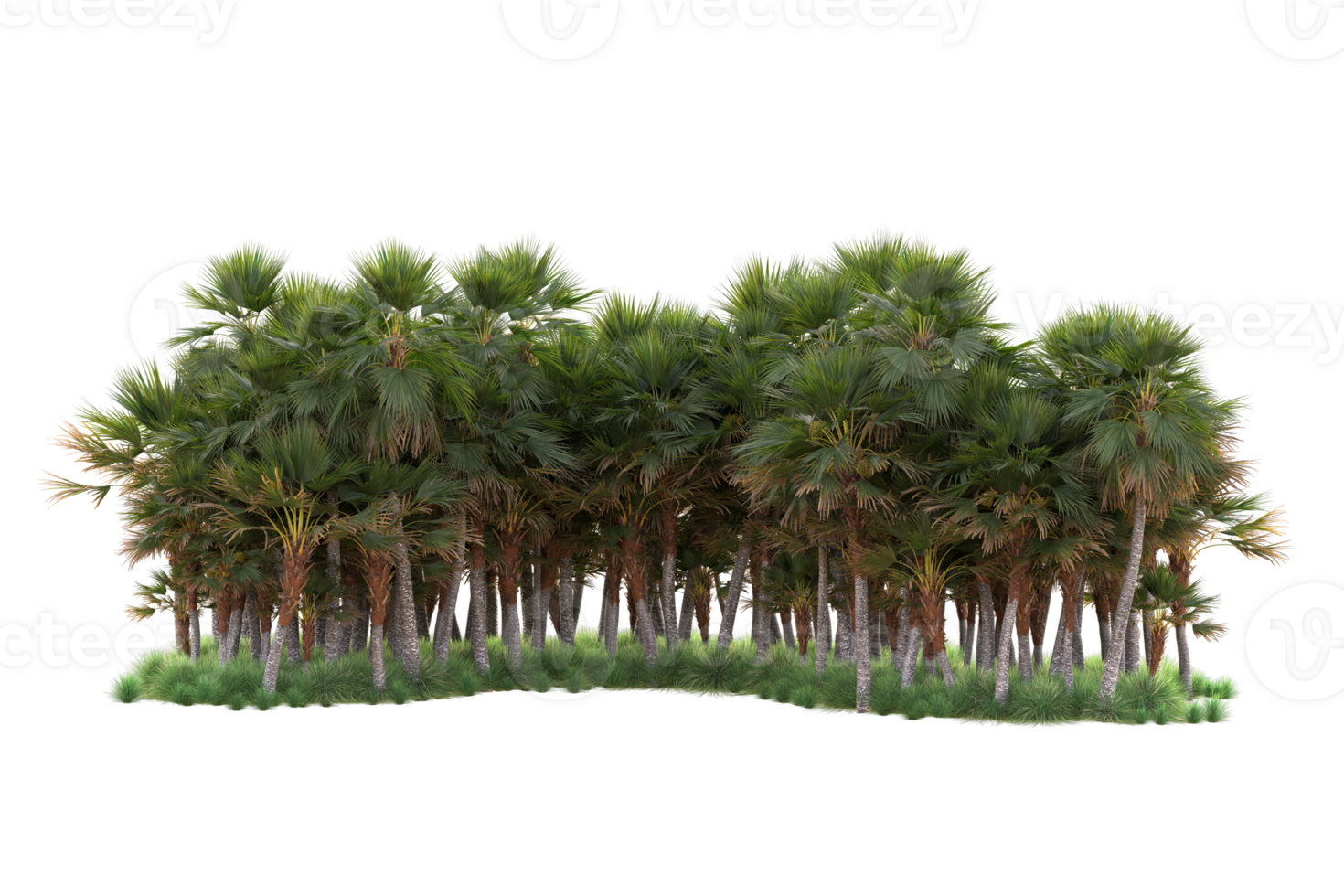 Tropical forest isolated on transparent background. 3d rendering - illustration png