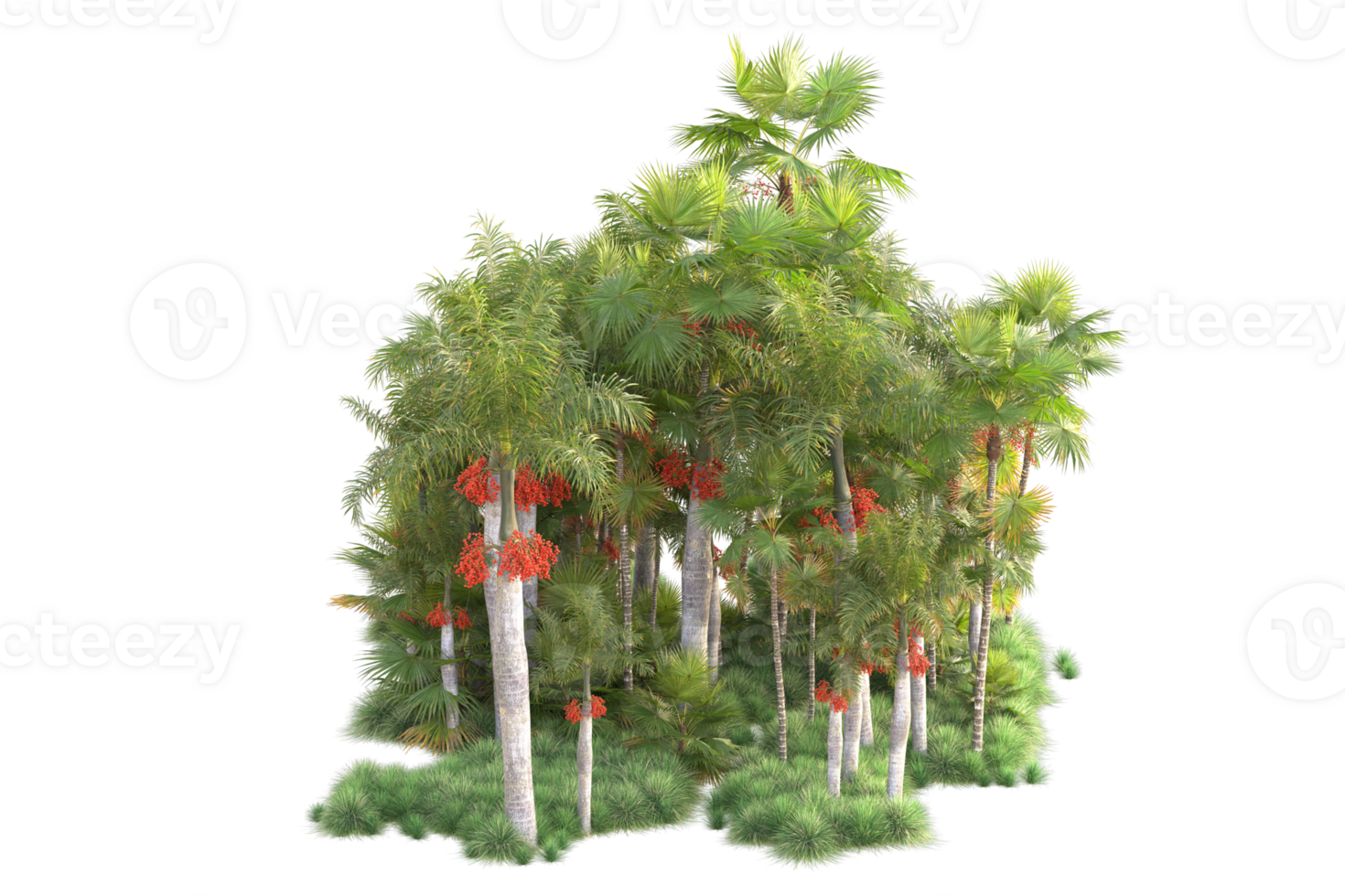 Tropical forest isolated on transparent background. 3d rendering - illustration png