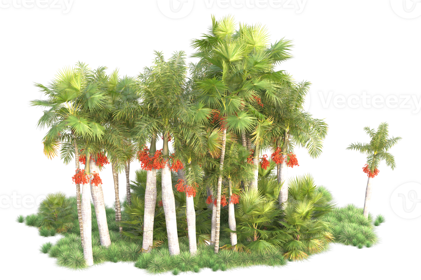Tropical forest isolated on transparent background. 3d rendering - illustration png