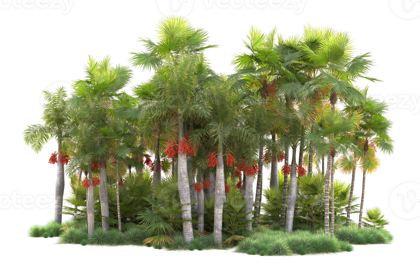 Tropical forest isolated on transparent background. 3d rendering - illustration png