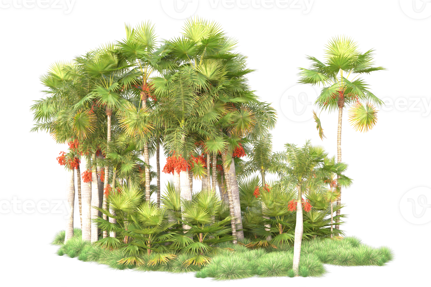 Tropical forest isolated on transparent background. 3d rendering - illustration png