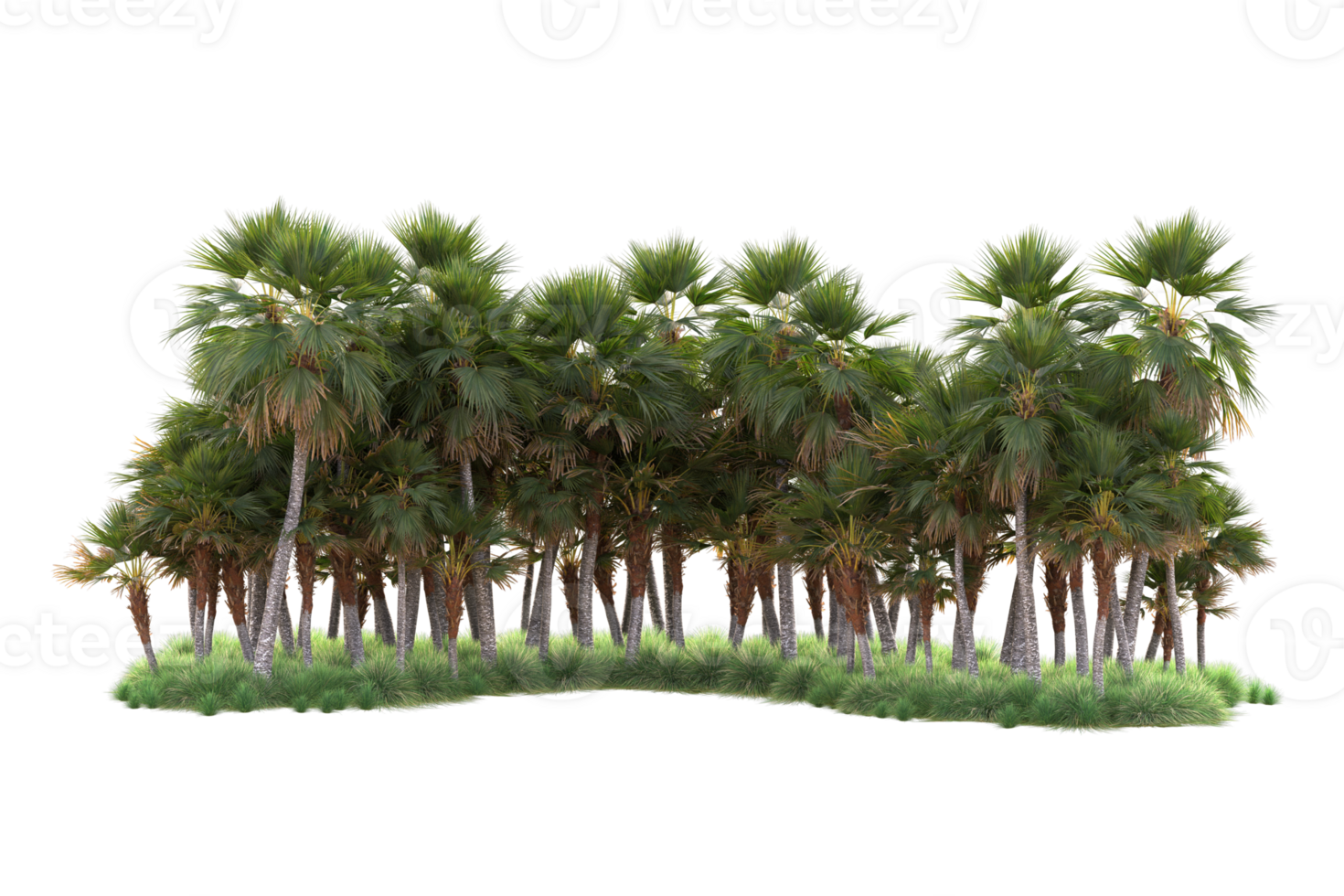 Tropical forest isolated on transparent background. 3d rendering - illustration png
