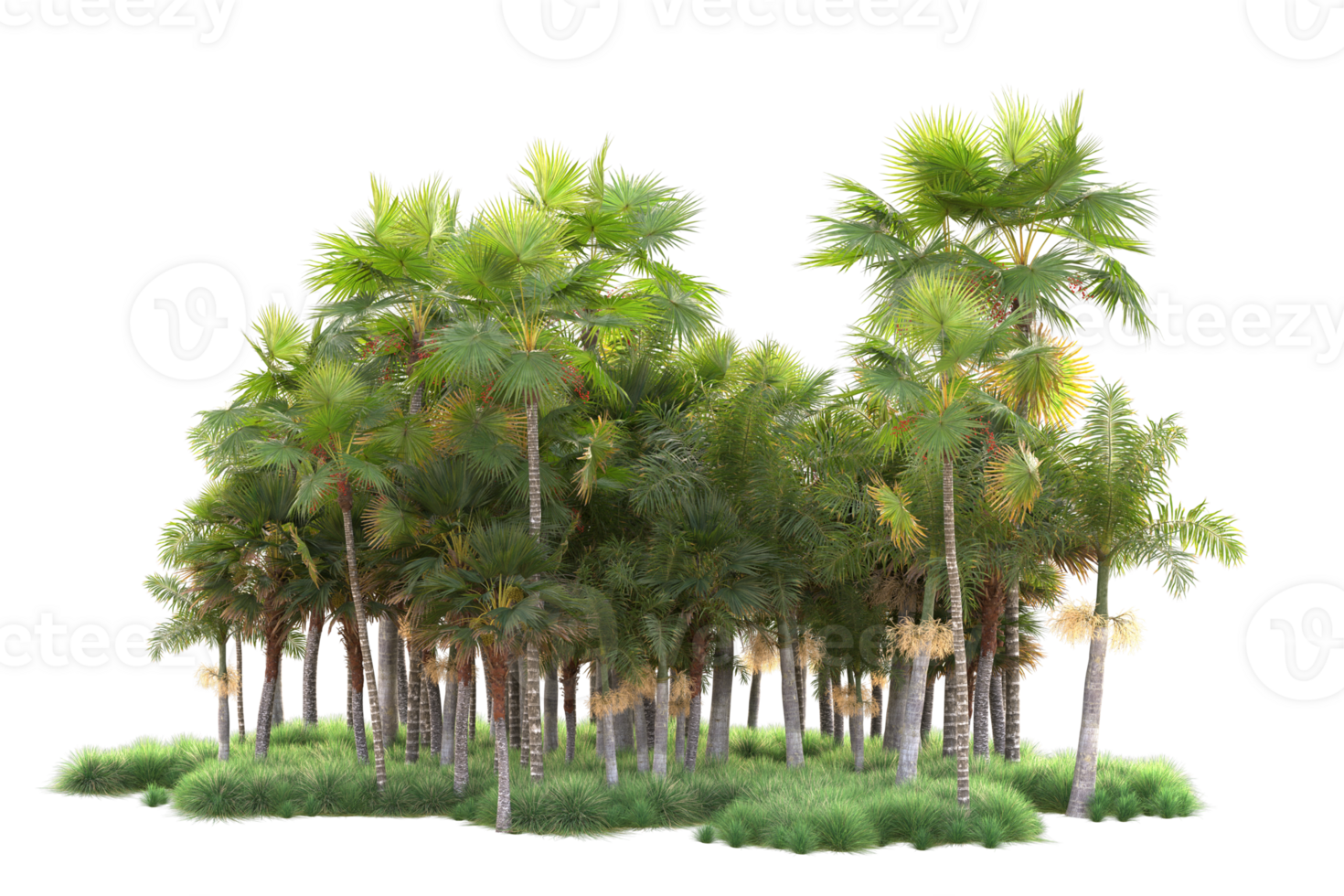 Tropical forest isolated on transparent background. 3d rendering - illustration png