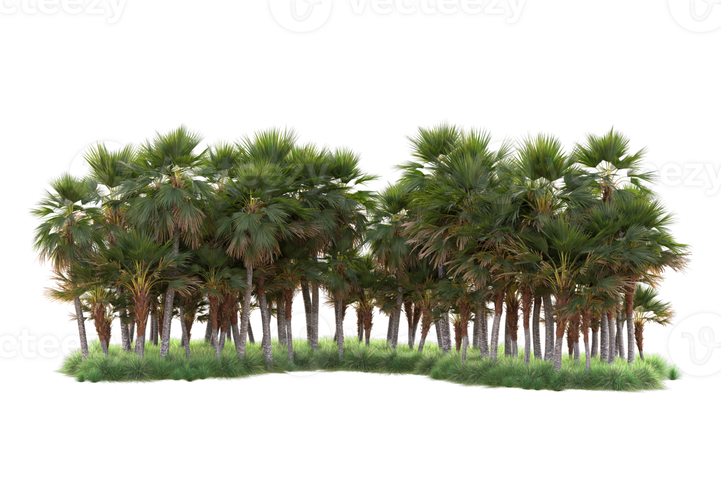 Tropical forest isolated on transparent background. 3d rendering - illustration png