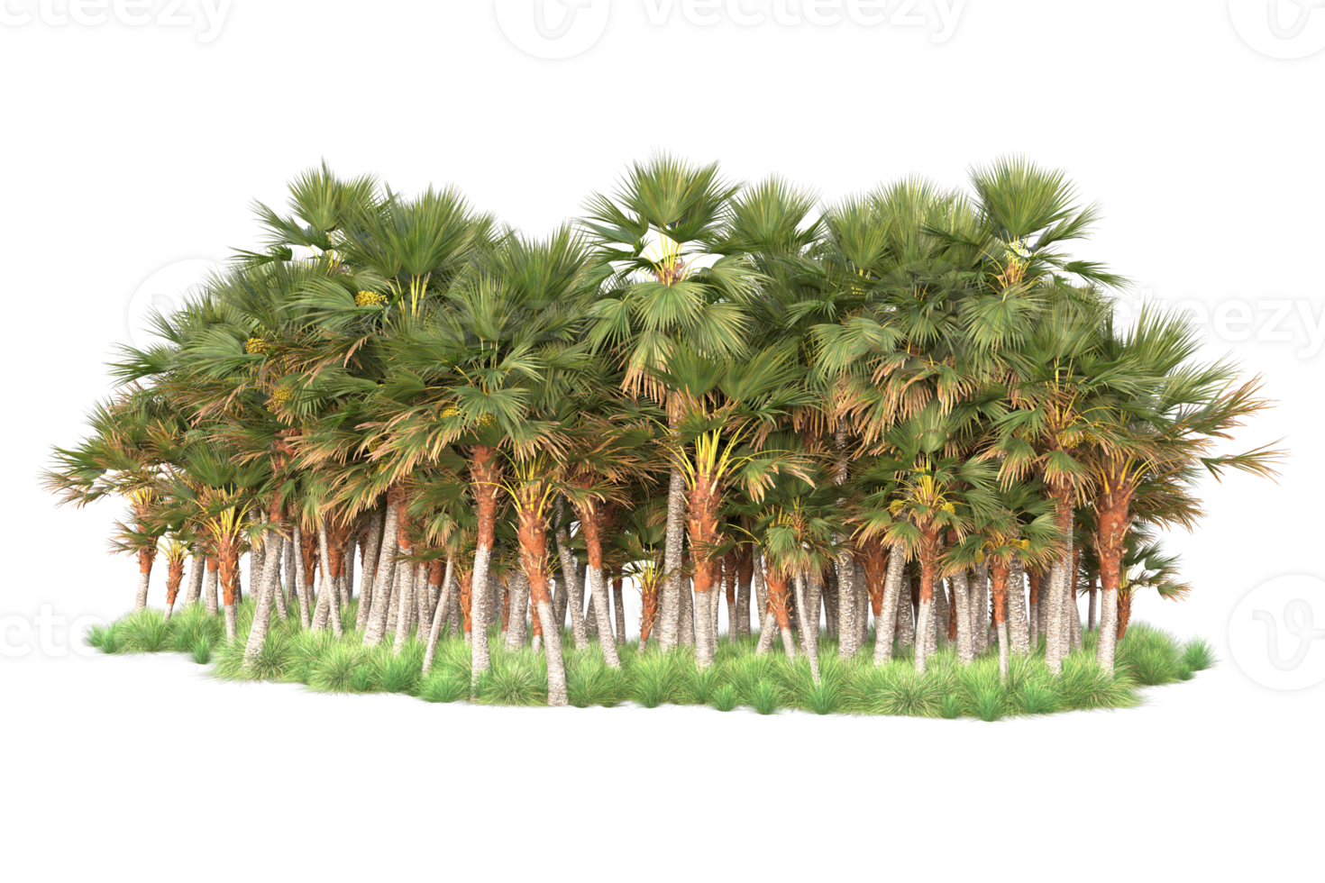 Tropical forest isolated on transparent background. 3d rendering - illustration png