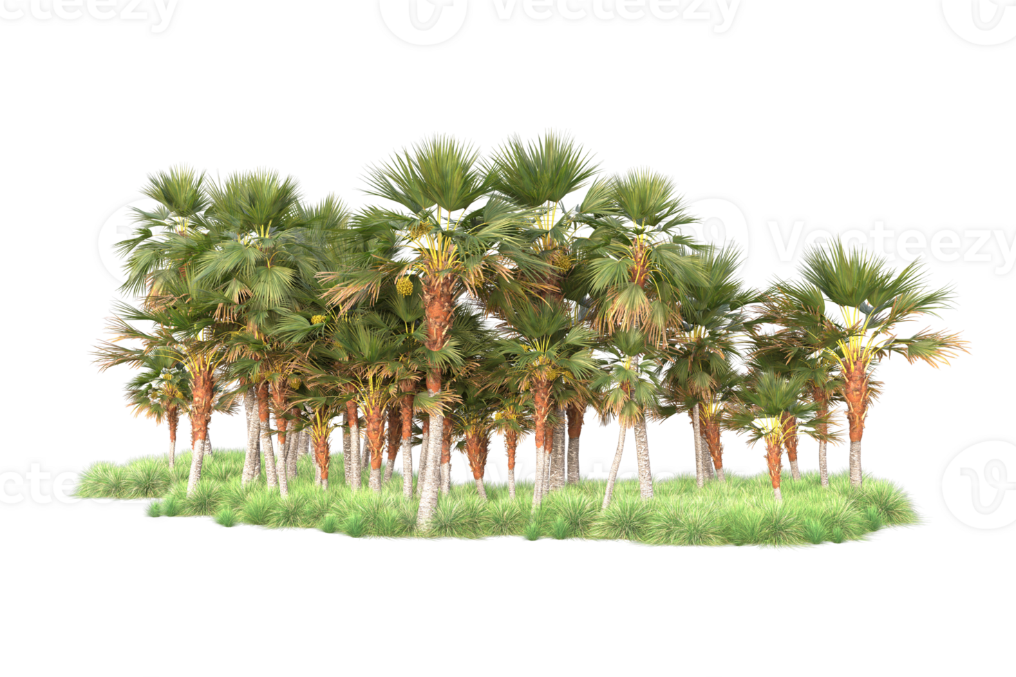 Tropical forest isolated on transparent background. 3d rendering - illustration png