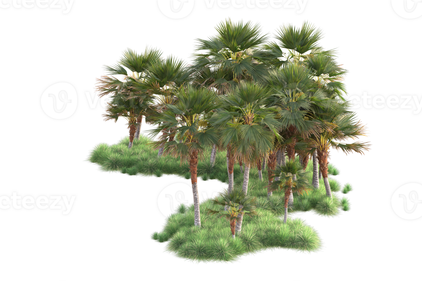 Tropical forest isolated on transparent background. 3d rendering - illustration png
