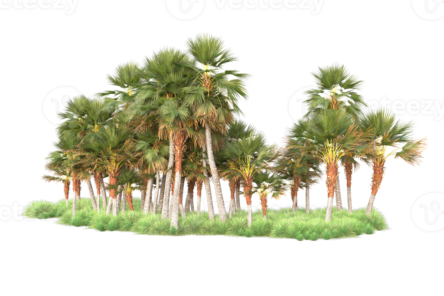 Tropical forest isolated on transparent background. 3d rendering - illustration png