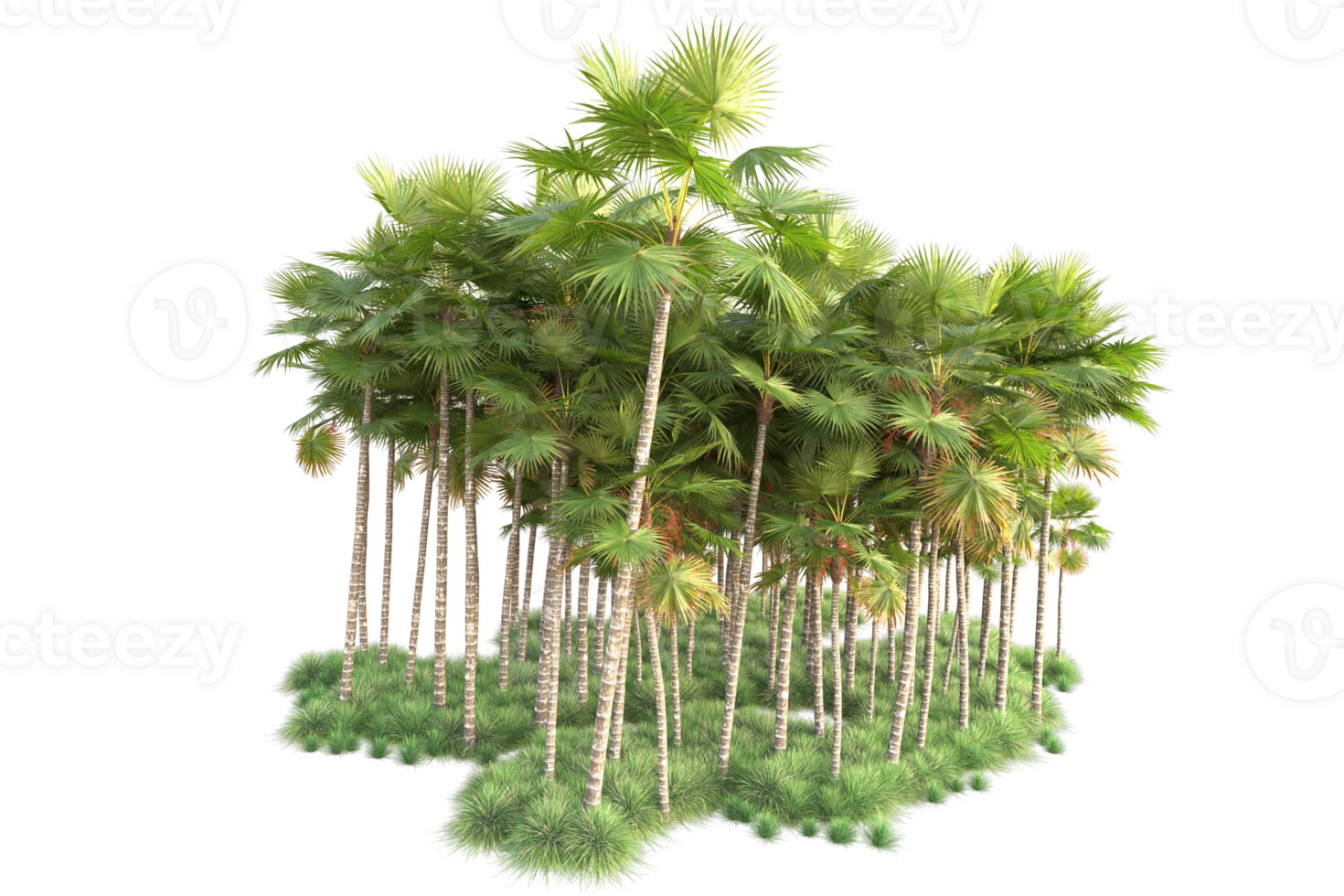 Tropical forest isolated on transparent background. 3d rendering - illustration png