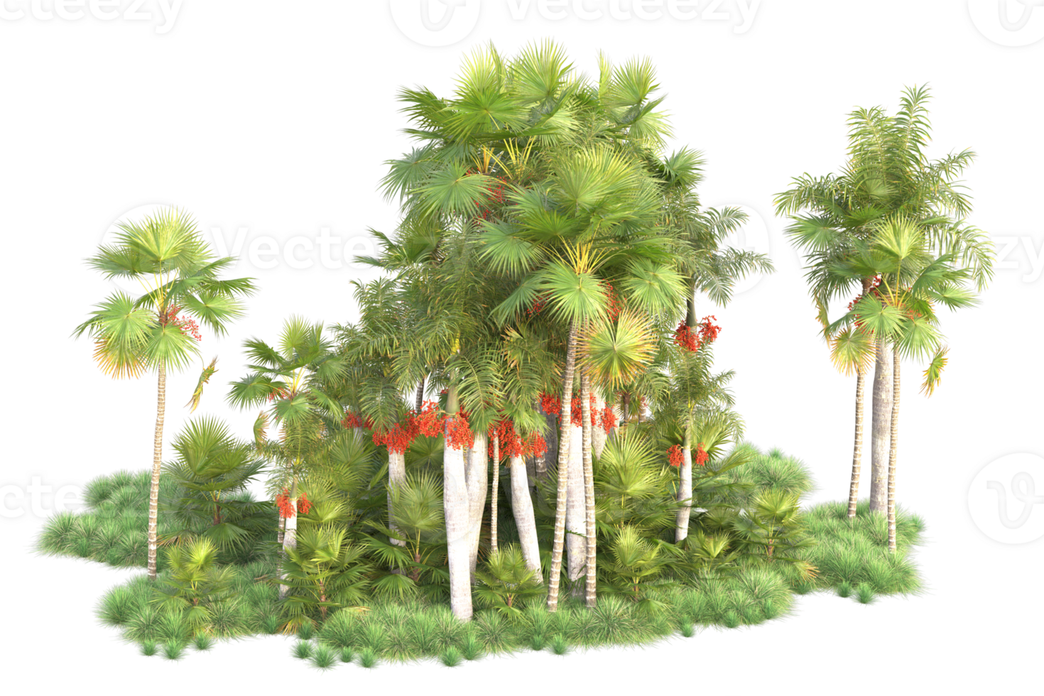 Tropical forest isolated on transparent background. 3d rendering - illustration png