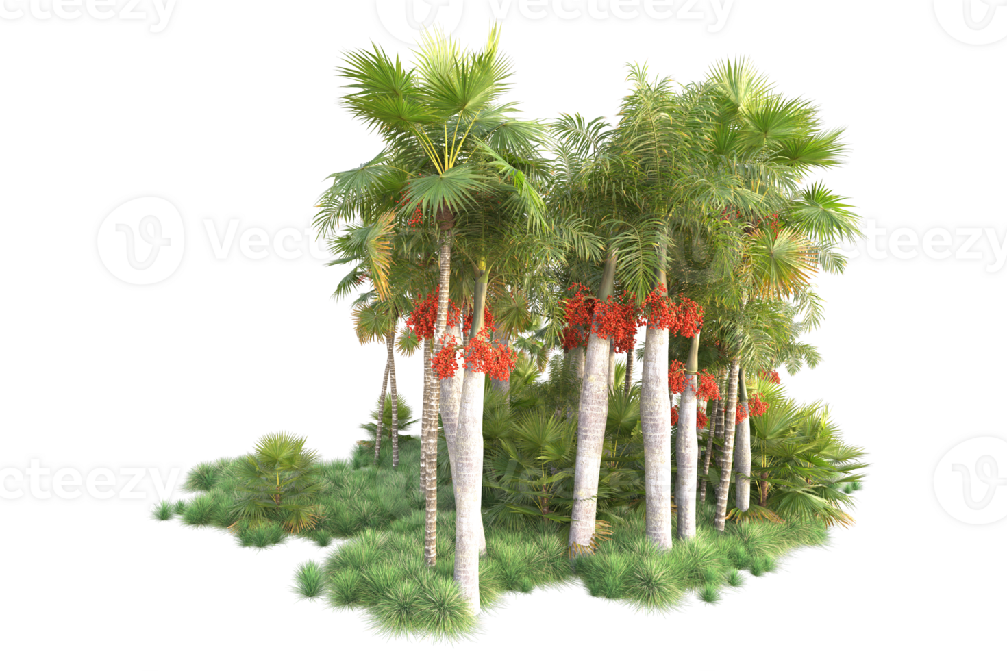 Tropical forest isolated on transparent background. 3d rendering - illustration png