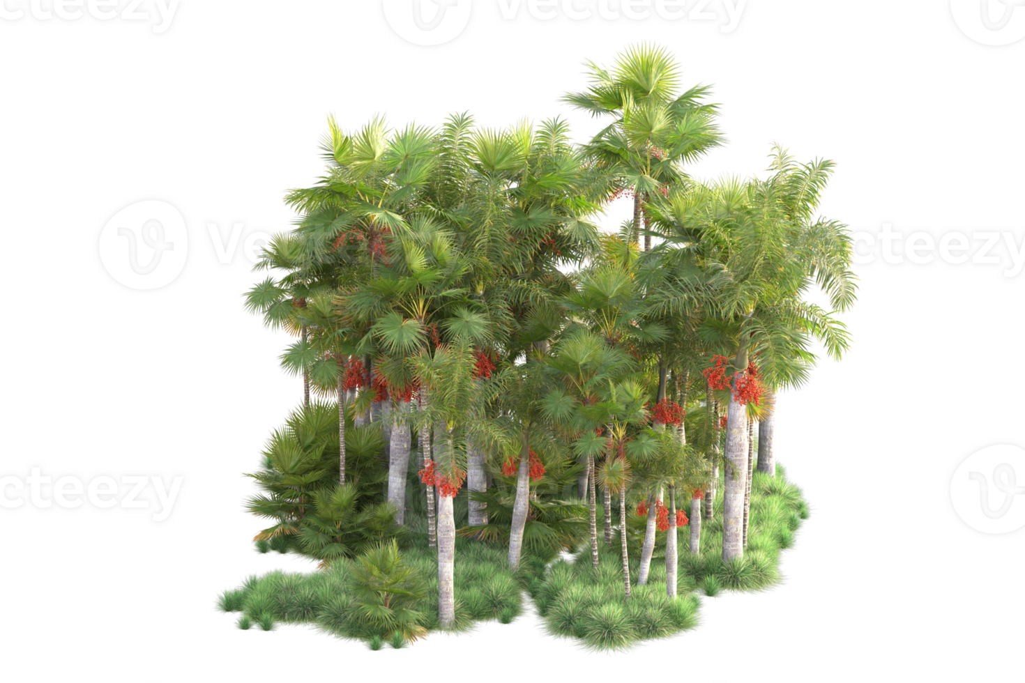 Tropical forest isolated on transparent background. 3d rendering - illustration png