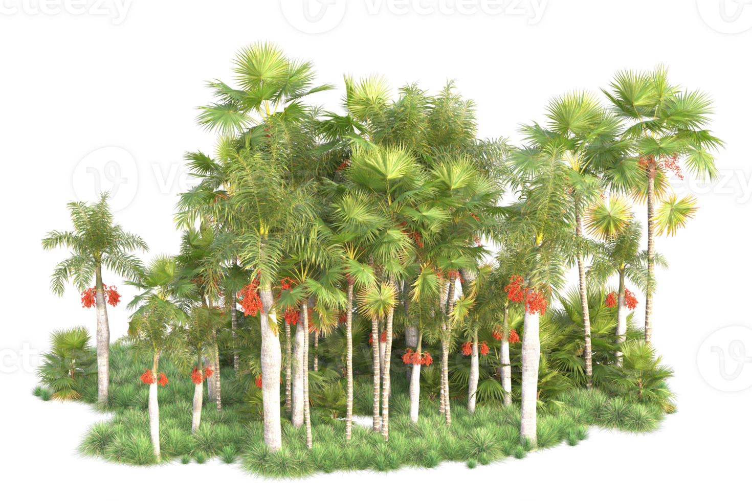 Tropical forest isolated on transparent background. 3d rendering - illustration png