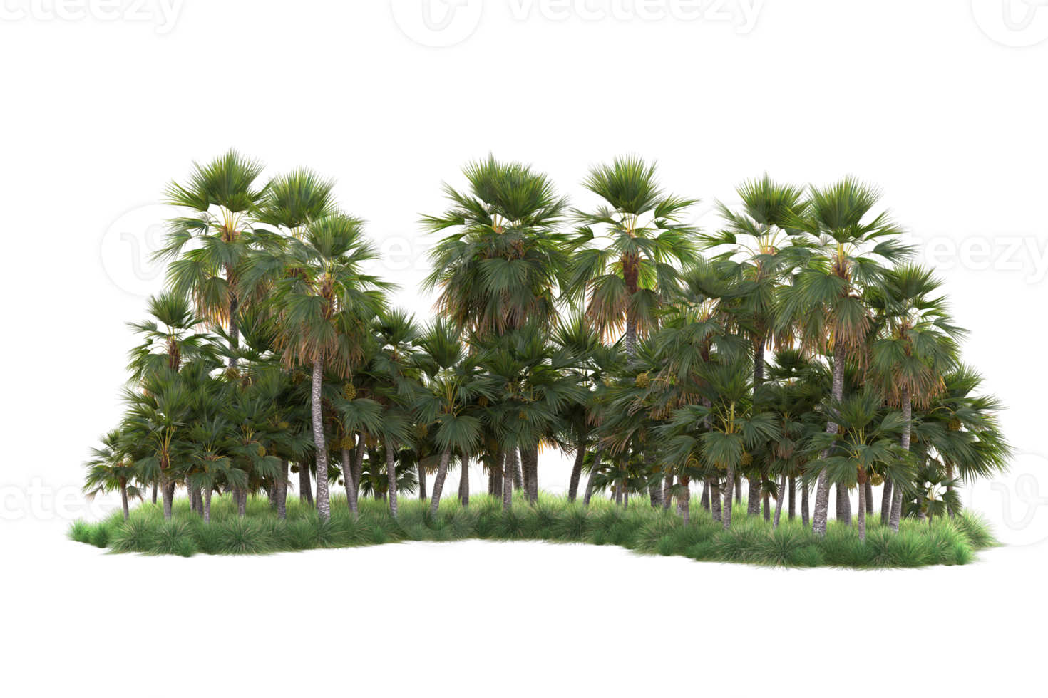 Tropical forest isolated on transparent background. 3d rendering - illustration png