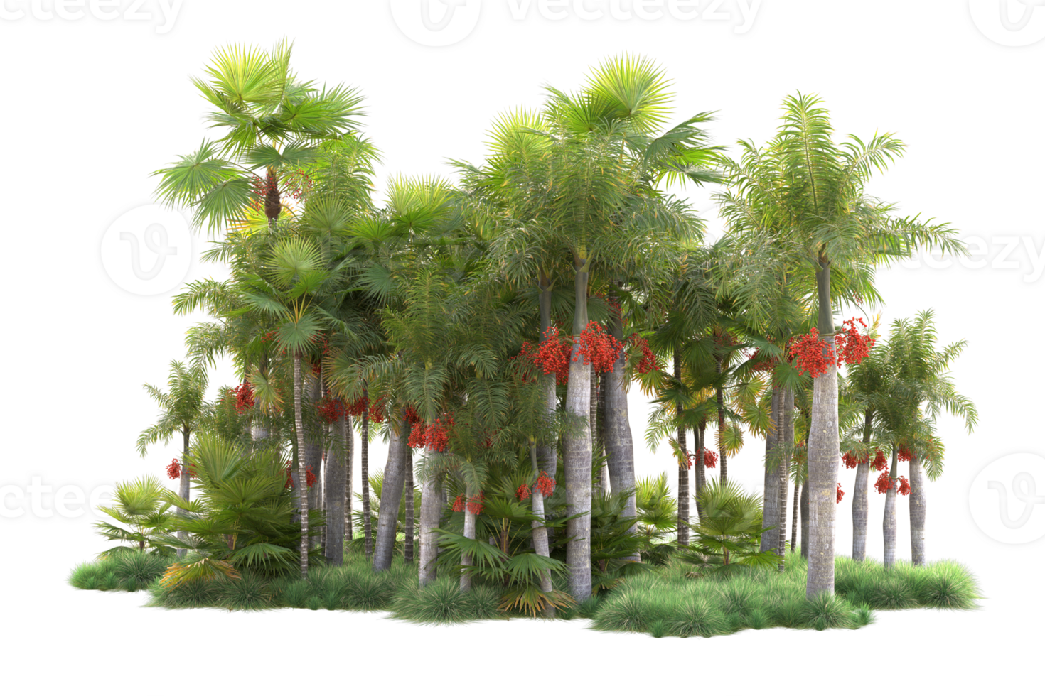 Tropical forest isolated on transparent background. 3d rendering - illustration png