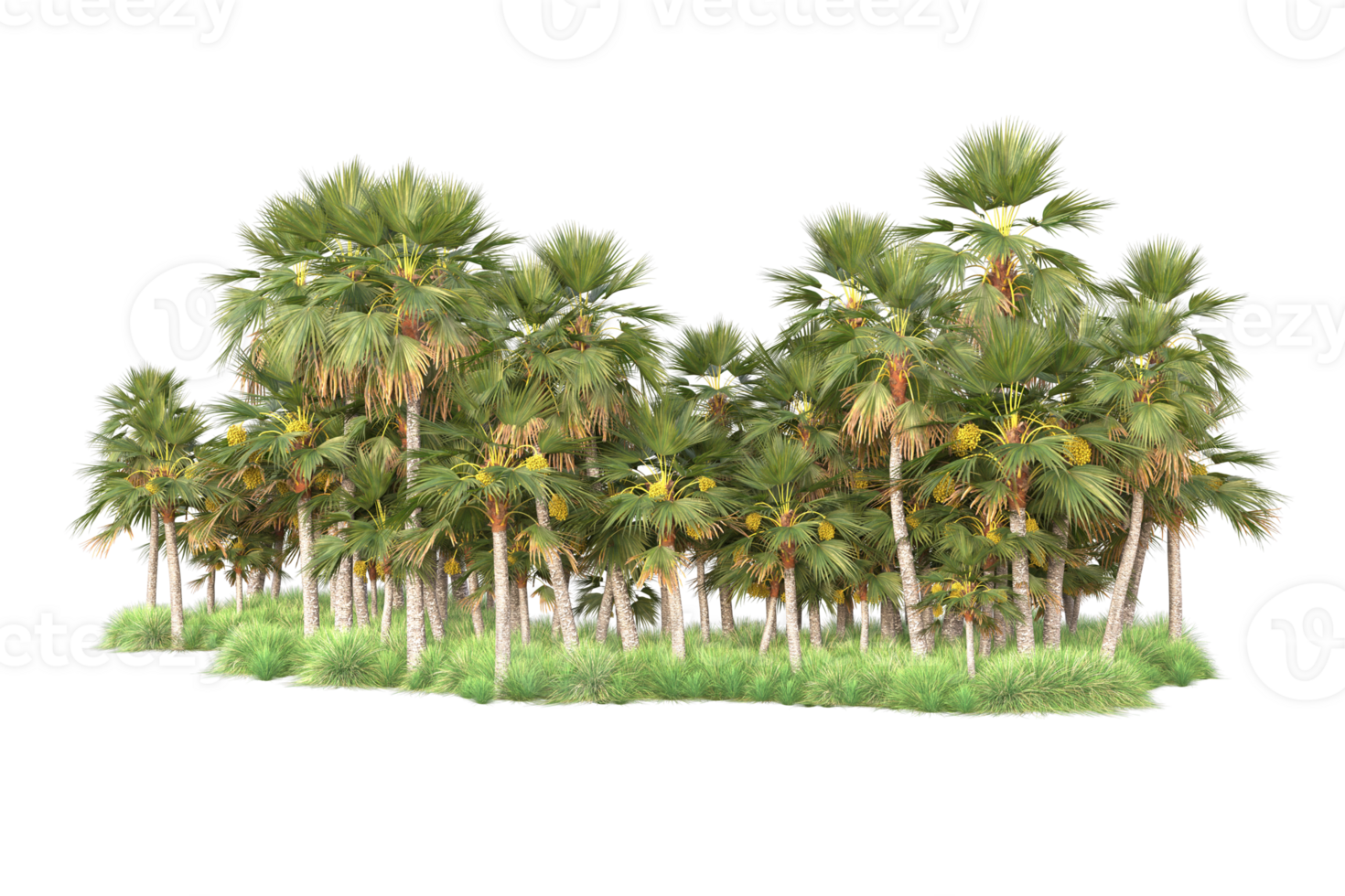 Tropical forest isolated on transparent background. 3d rendering - illustration png