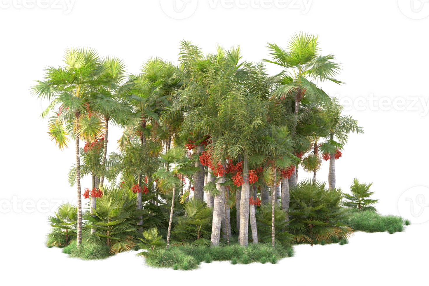Tropical forest isolated on transparent background. 3d rendering - illustration png