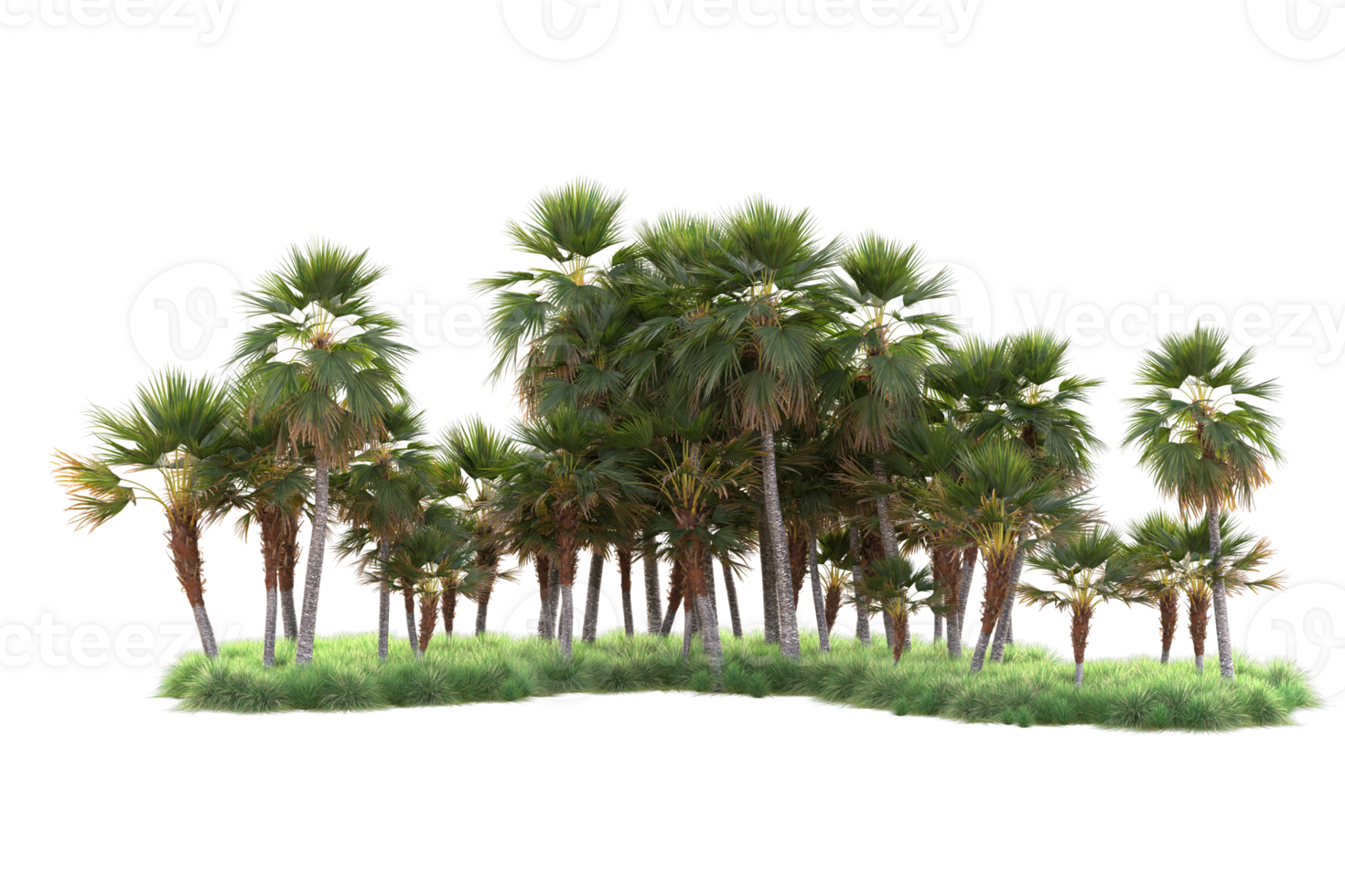 Tropical forest isolated on transparent background. 3d rendering - illustration png