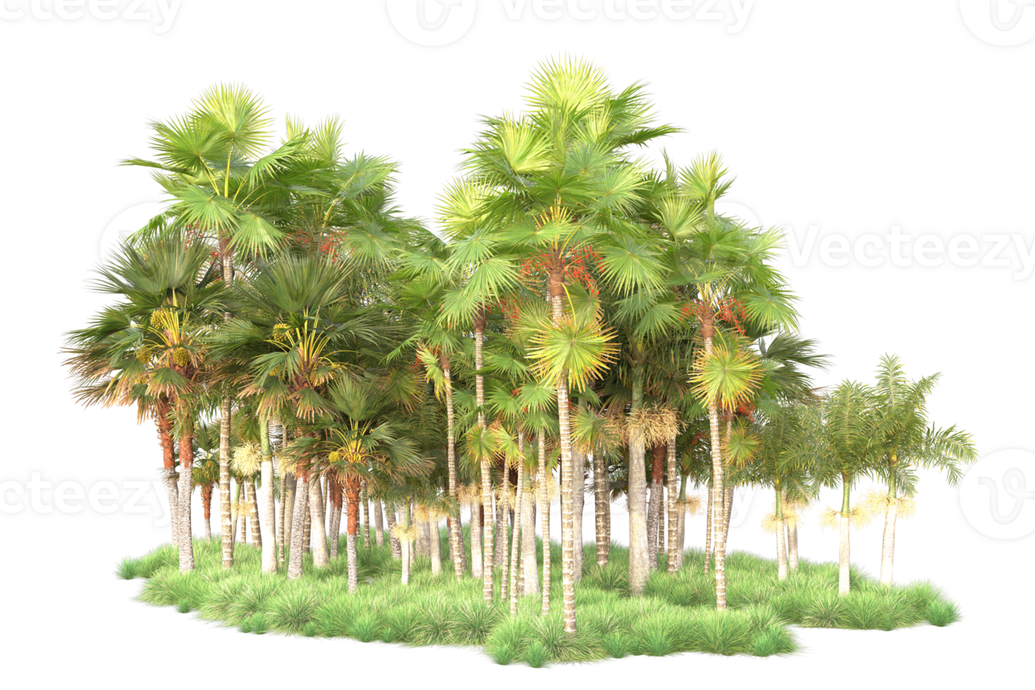Tropical forest isolated on transparent background. 3d rendering - illustration png