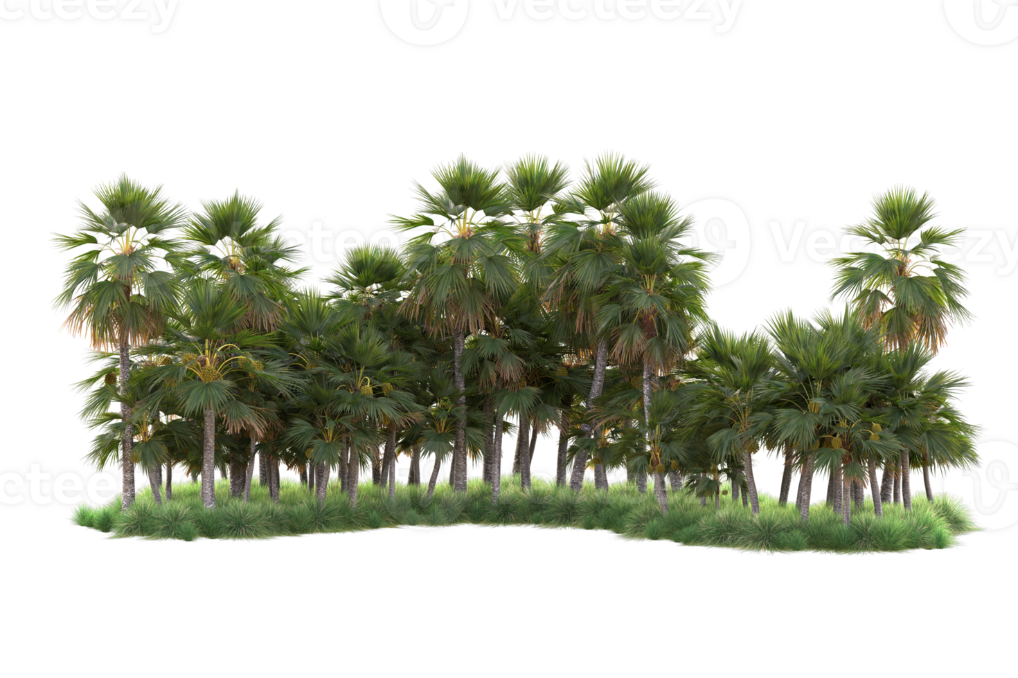 Tropical forest isolated on transparent background. 3d rendering - illustration png
