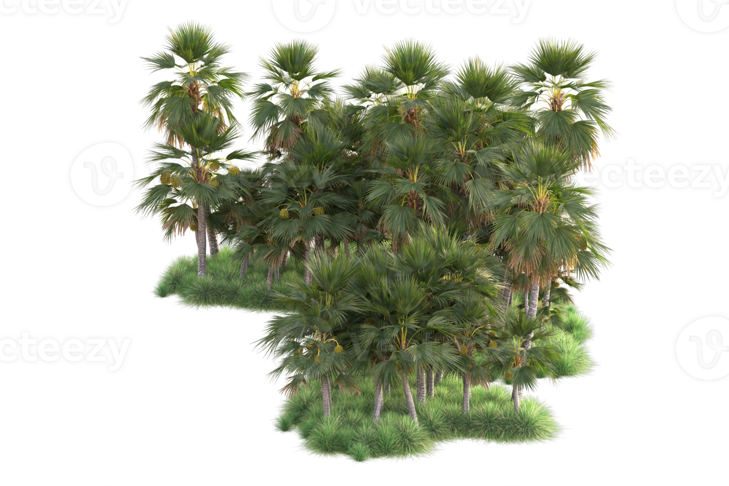 Tropical forest isolated on transparent background. 3d rendering - illustration png