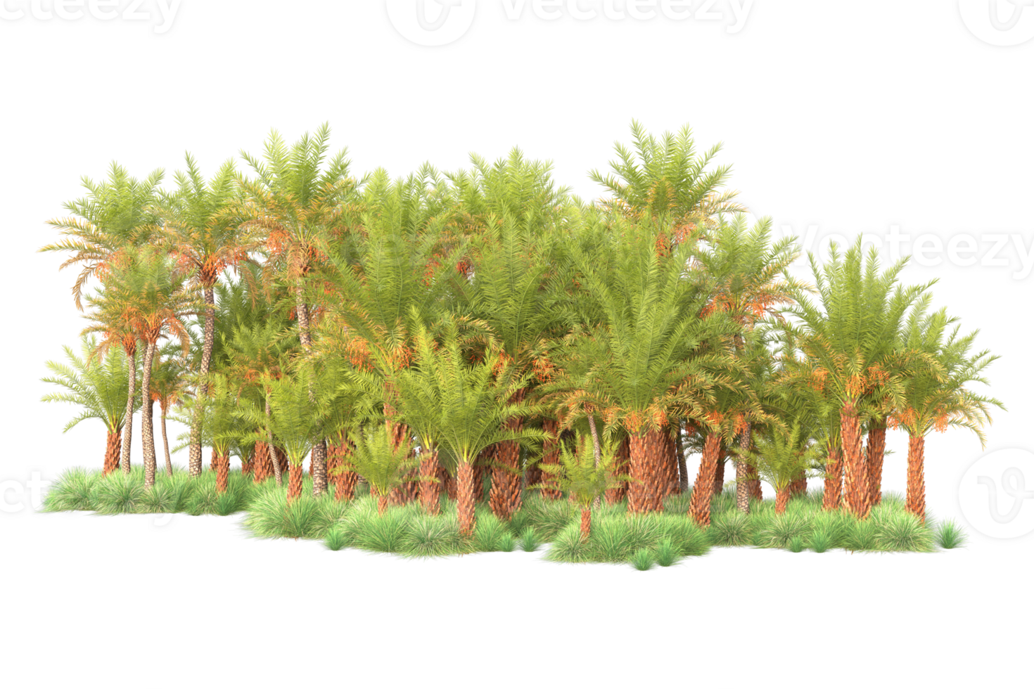 Tropical forest isolated on transparent background. 3d rendering - illustration png