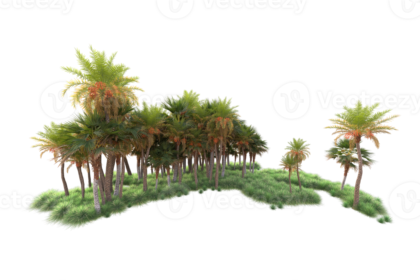 Tropical forest isolated on transparent background. 3d rendering - illustration png