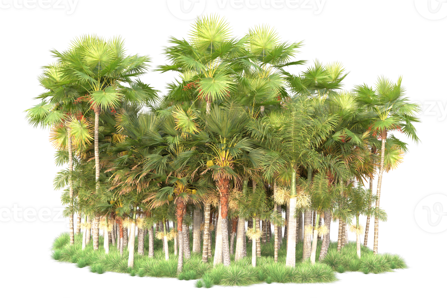 Tropical forest isolated on transparent background. 3d rendering - illustration png