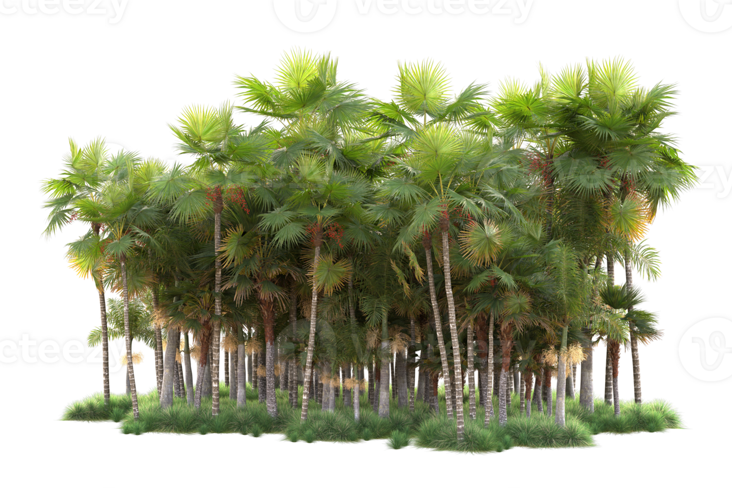 Tropical forest isolated on transparent background. 3d rendering - illustration png