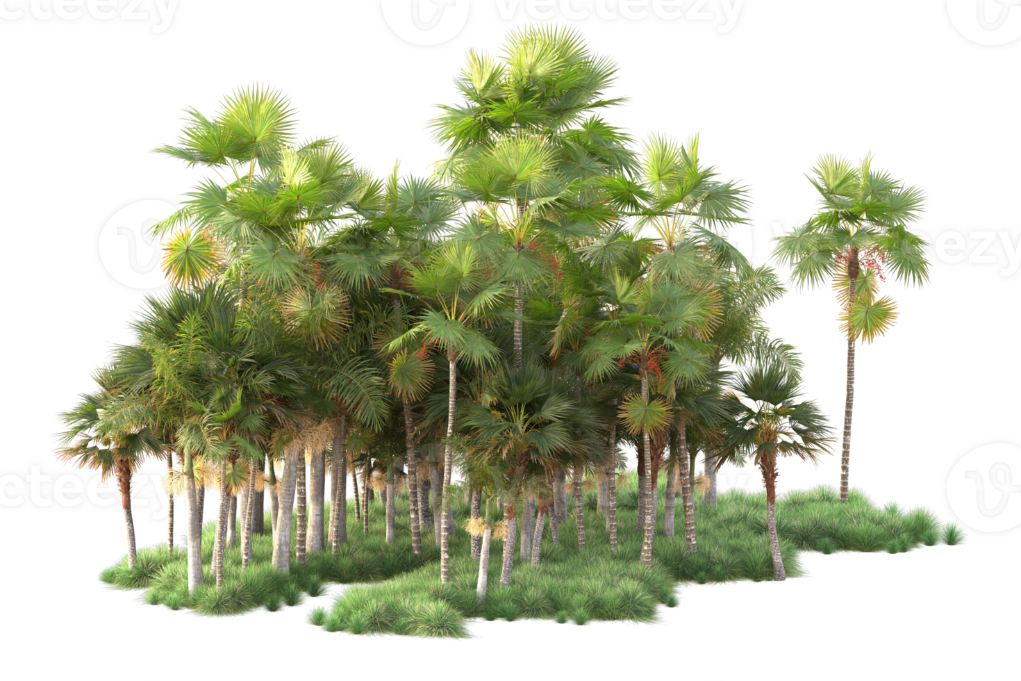 Tropical forest isolated on transparent background. 3d rendering - illustration png