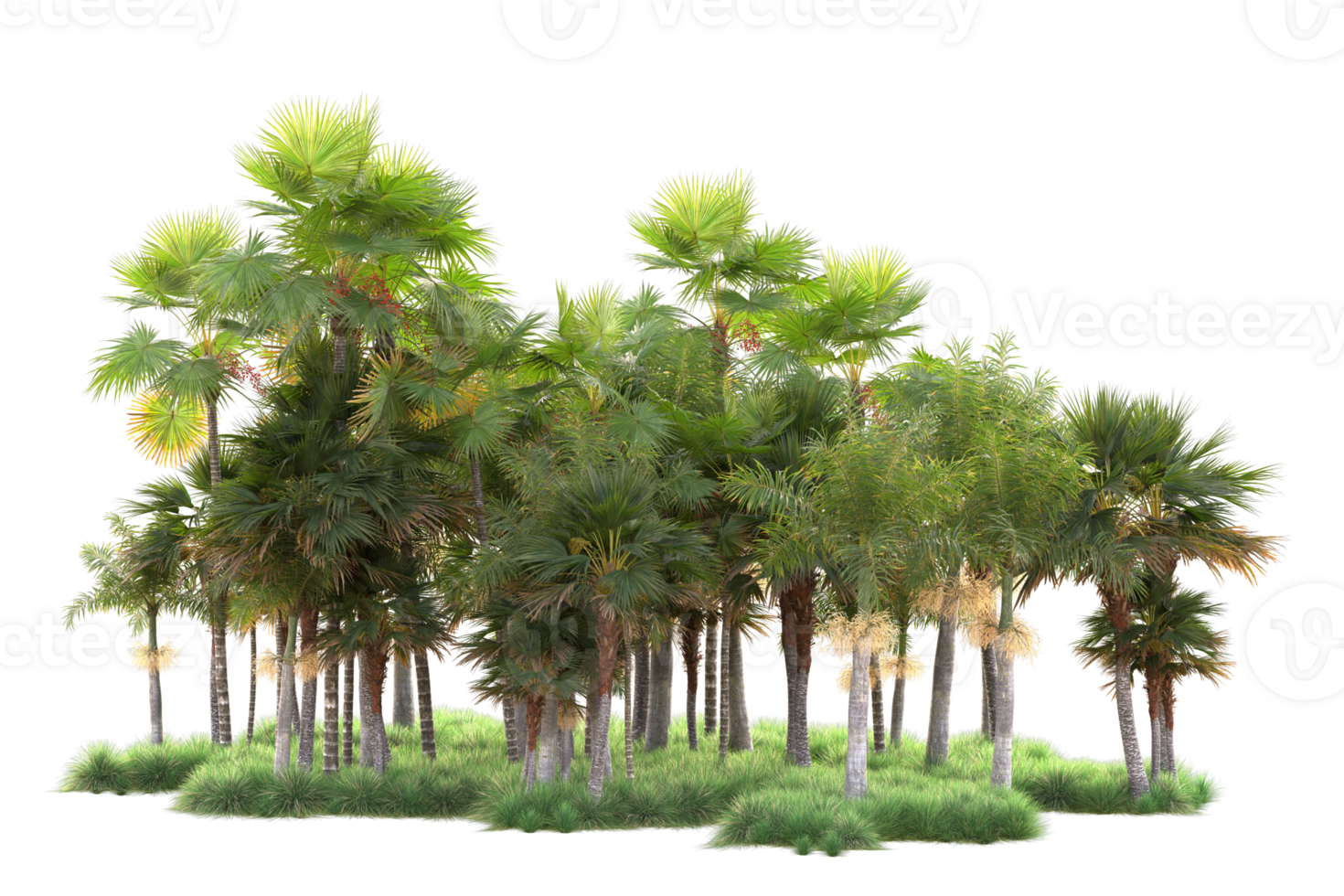Tropical forest isolated on transparent background. 3d rendering - illustration png