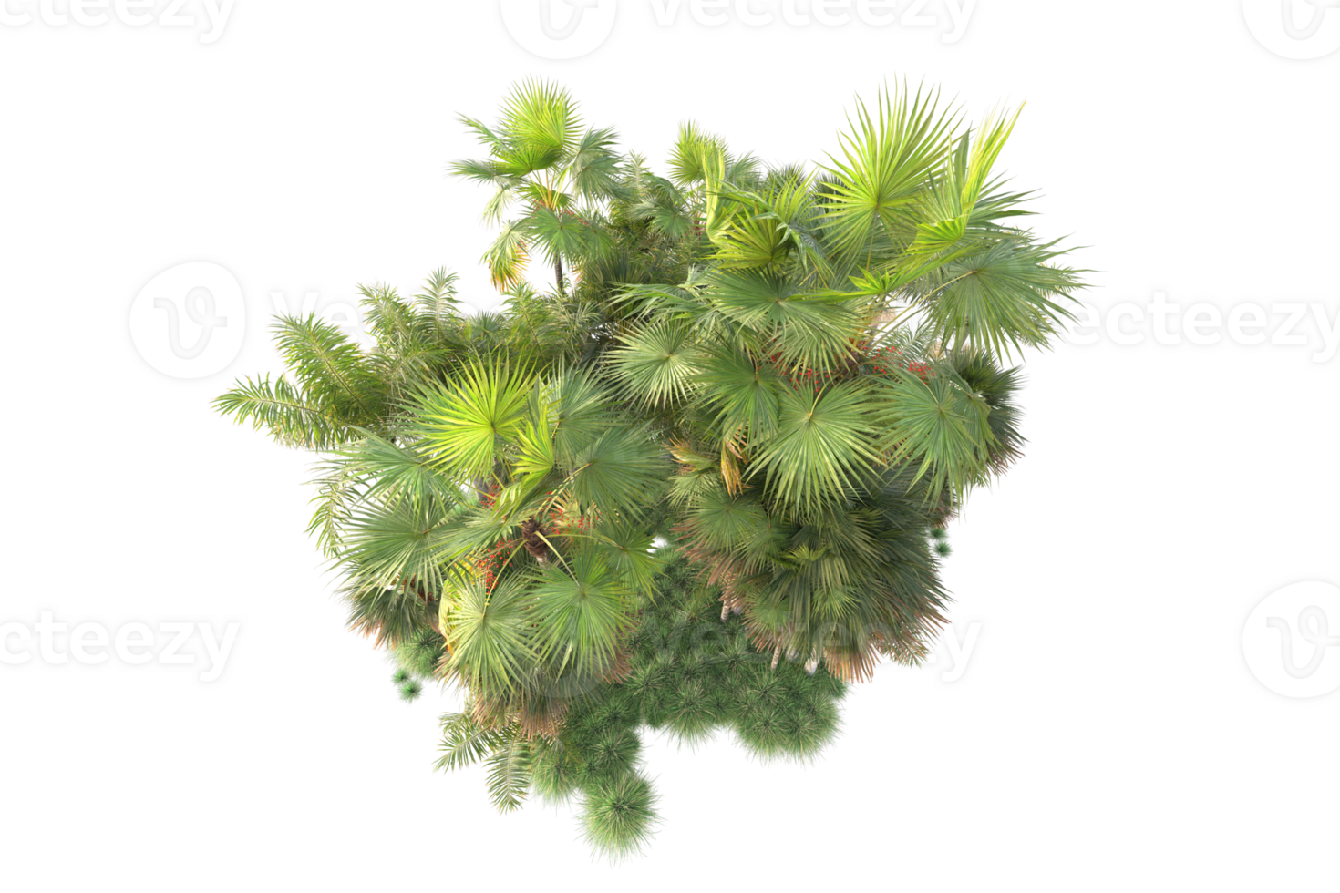 Tropical forest isolated on transparent background. 3d rendering - illustration png