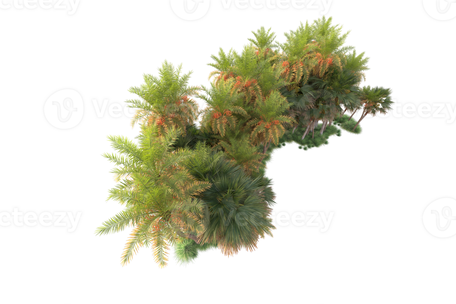 Tropical forest isolated on transparent background. 3d rendering - illustration png