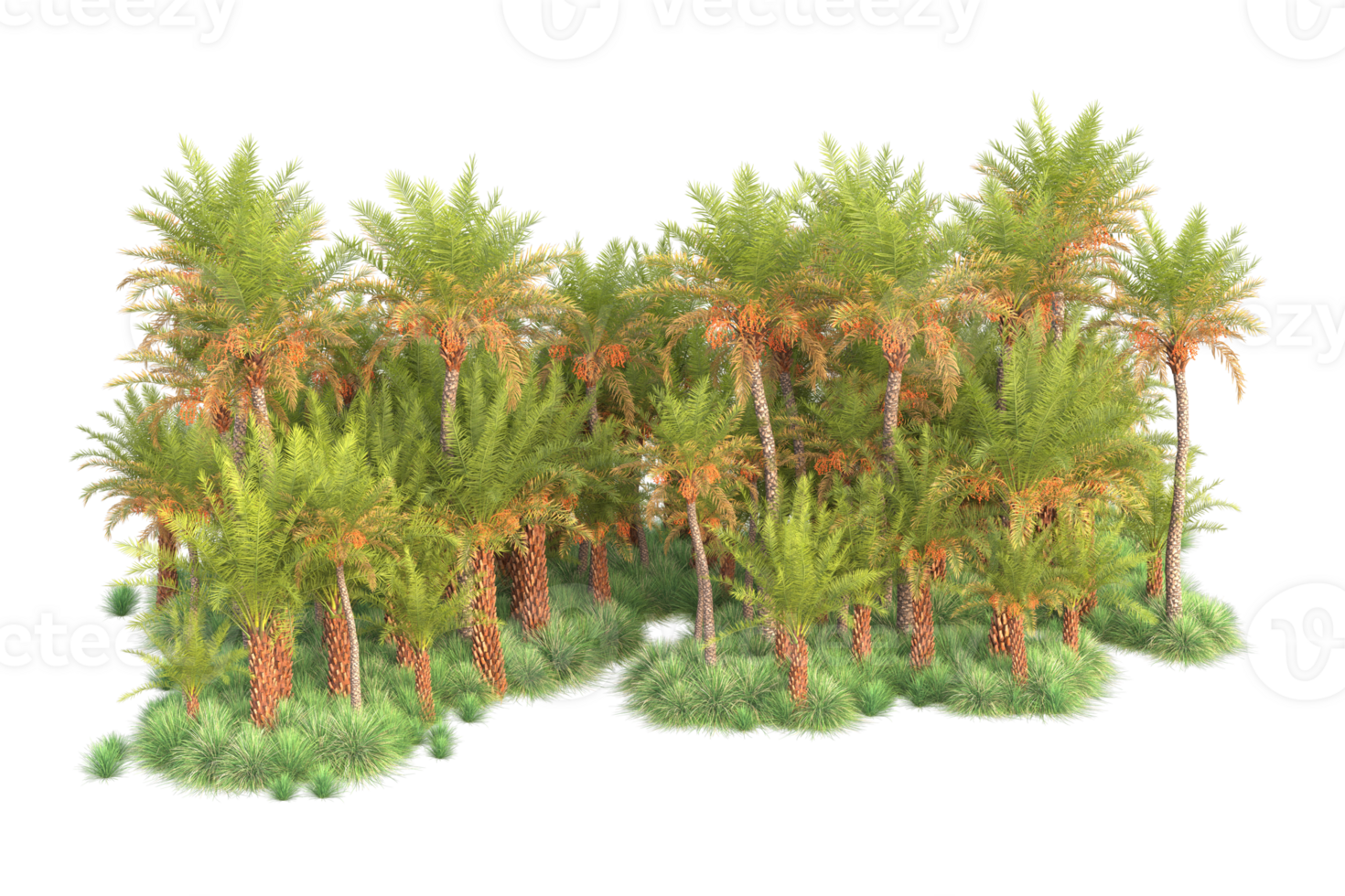 Tropical forest isolated on transparent background. 3d rendering - illustration png