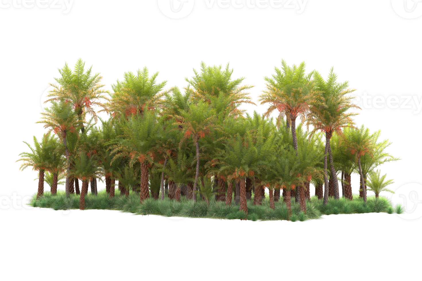 Tropical forest isolated on transparent background. 3d rendering - illustration png