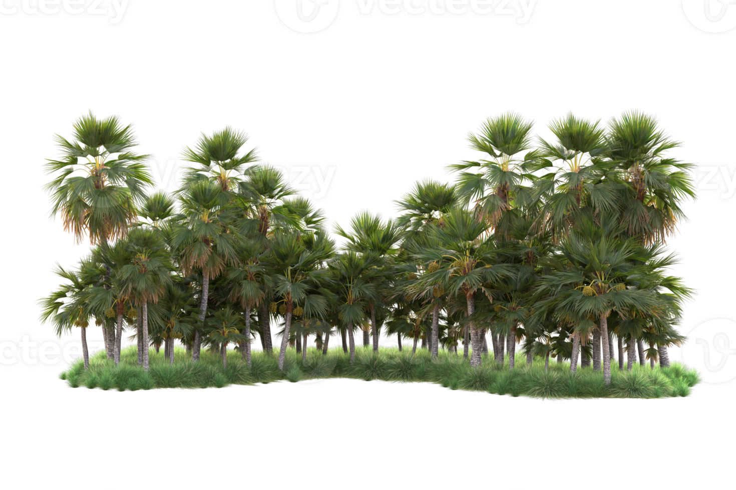 Tropical forest isolated on transparent background. 3d rendering - illustration png
