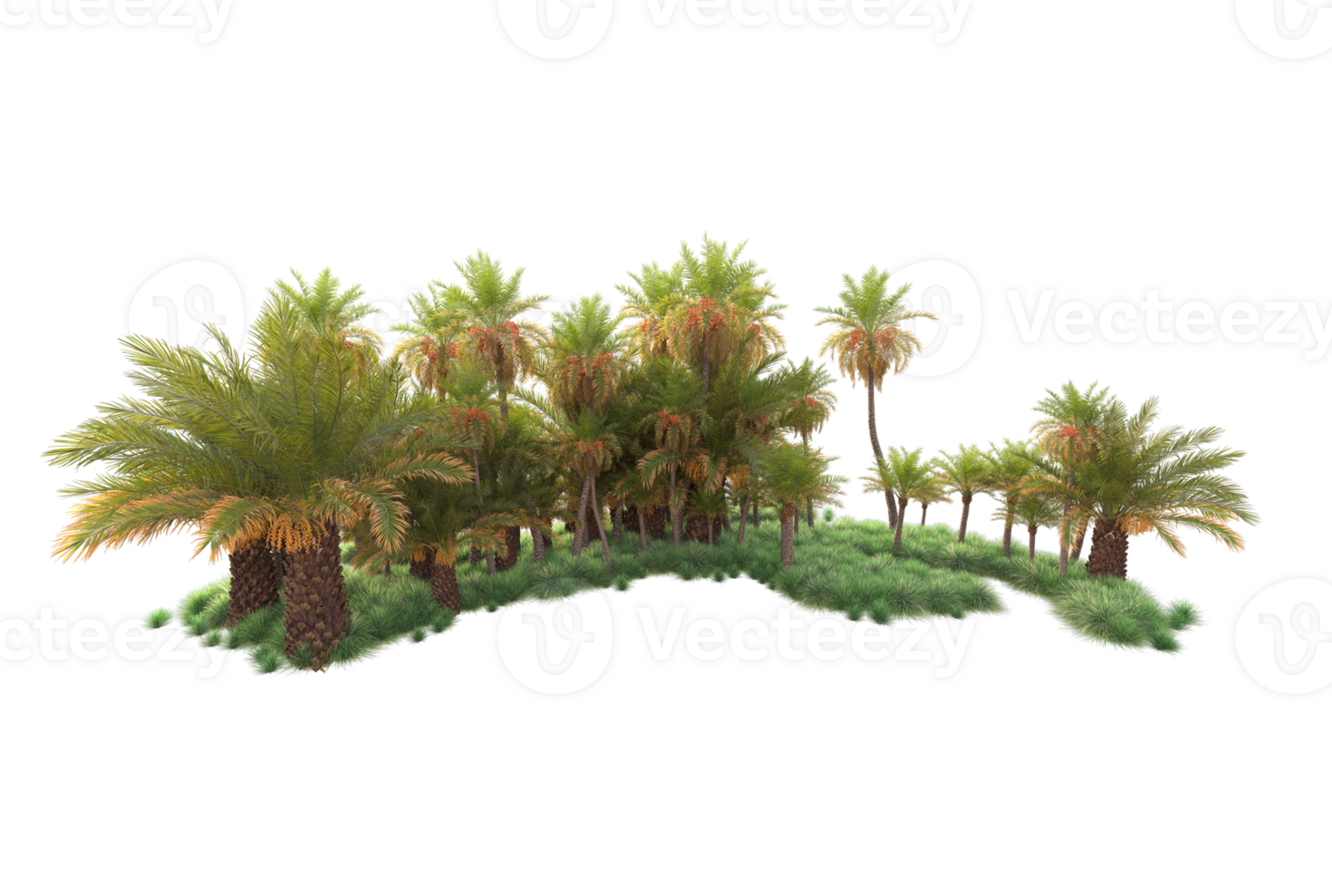 Tropical forest isolated on transparent background. 3d rendering - illustration png