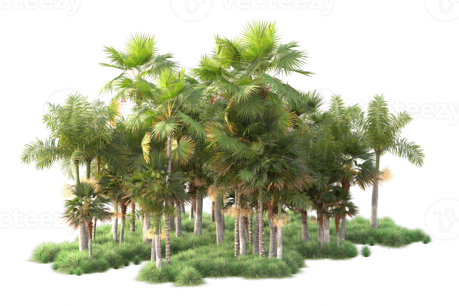 Tropical forest isolated on transparent background. 3d rendering - illustration png